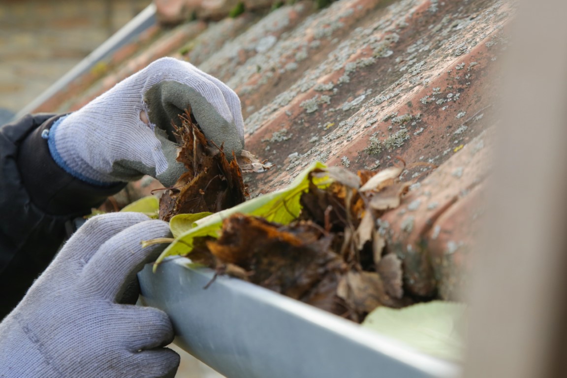 spring gutter guards