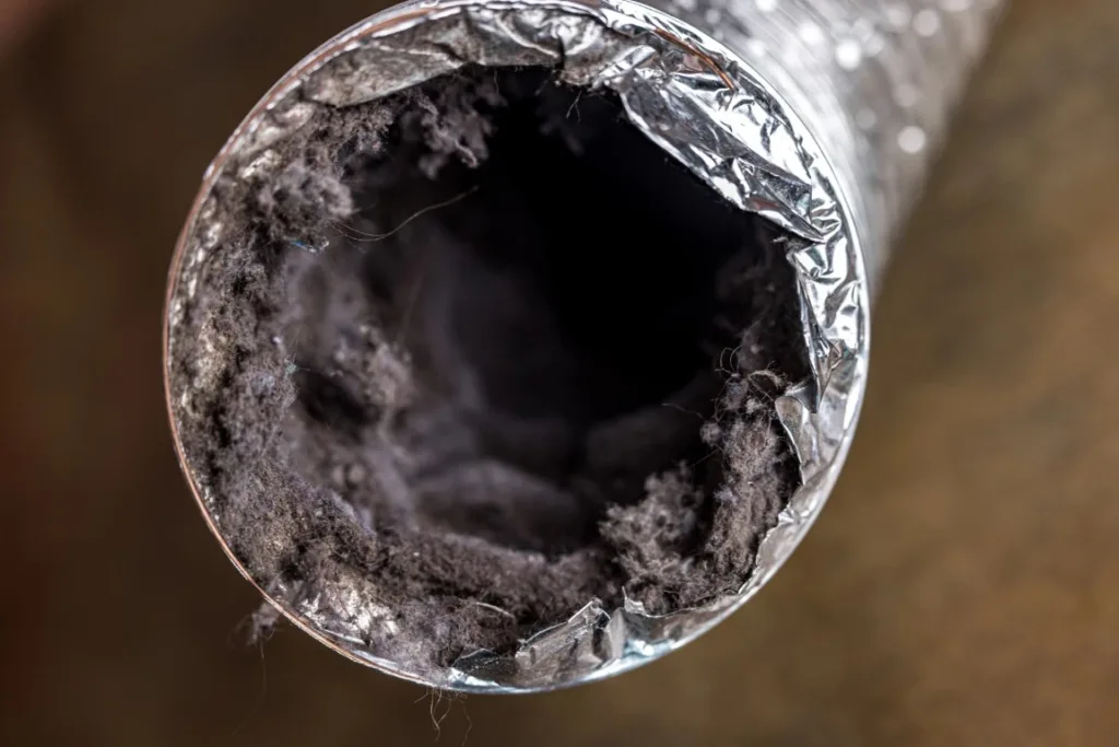 Protect Your Home: The Critical Role of Dryer Vent Cleaning