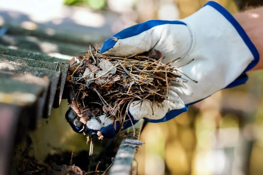 Emerald City Window Cleaning Gutter Cleaning Cicero NY