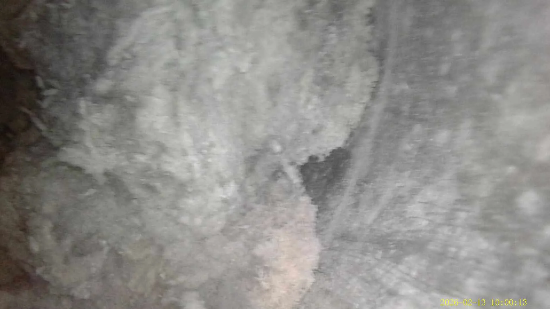 Dryer Vent Cleaning in Camillus, NY